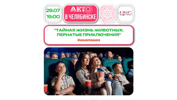 Тайная жизнь животных: пернатые приключения