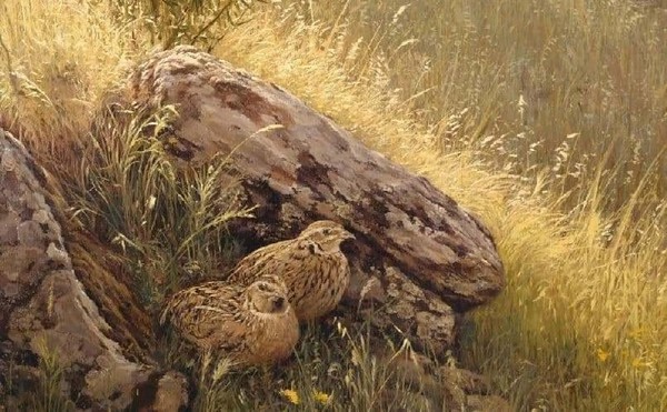 Программа «Секреты Мефодия Перепелятника»