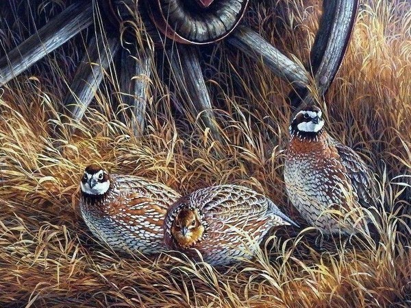 Час русской культуры «Мефодий»