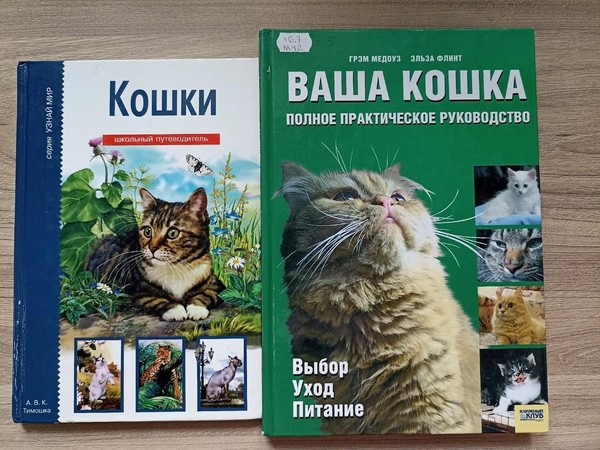 Игровая программа «Библиотечный зоотур»