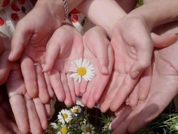 «Семья, любовь и верность»
