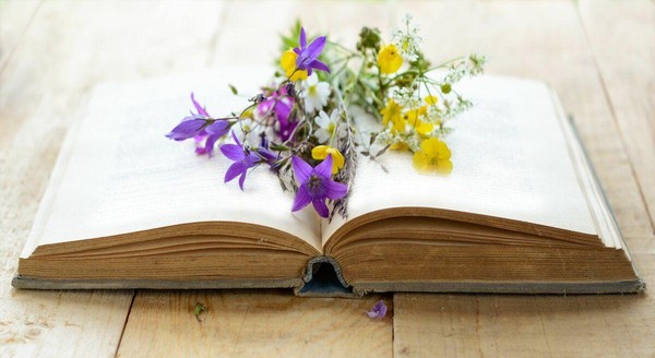 «Книг любимых день рожденья»