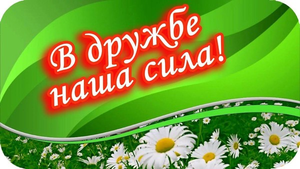 «В дружбе наша сила»