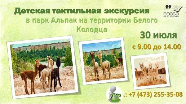 Экскурсия в парк «Встреча судивительными созданиями»