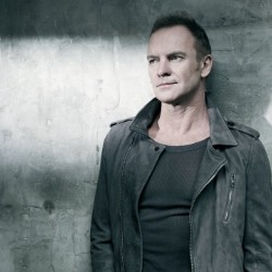 STING. Золотые хиты. Tribute