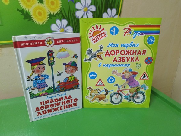 Программа «У светофора нет каникул»