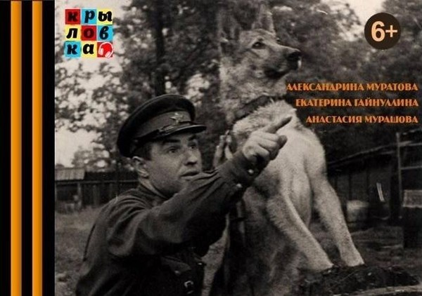 Аудиопроект «Четвероногие солдаты»