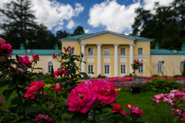 Старинные розы Алупкинского парка и Южного берега Крыма