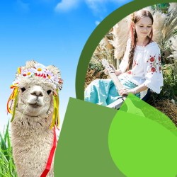 Сказки Купальской Ночи