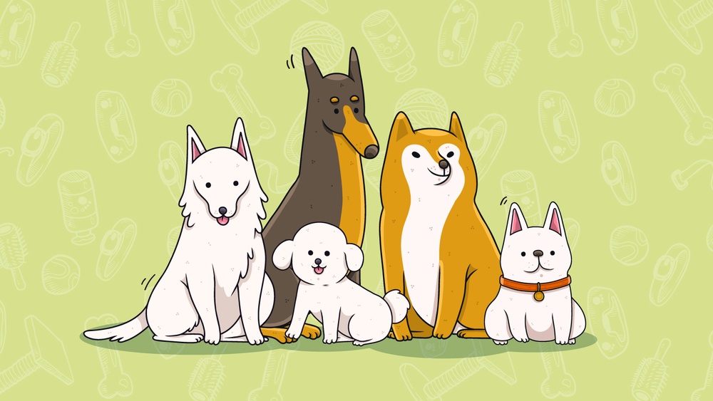 Frisky Dog Day "Южные хвостики"
