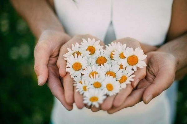 Акция «Ромашковое счастье»