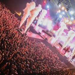 Like Fest Summer