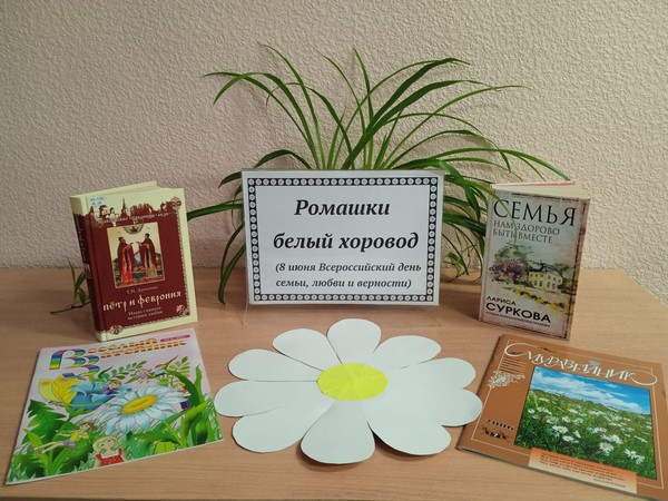 Познавательно игровая программа «Ромашки белый хоровод»