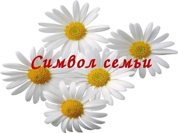 «Ромашка – символ счастья» праздничная программа