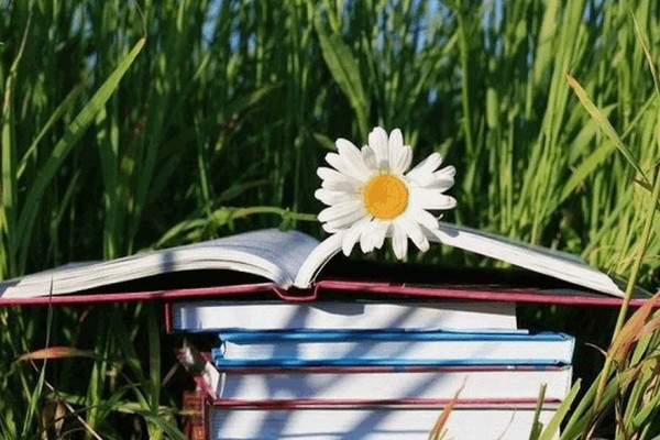 Выставка «Лето с книгой»