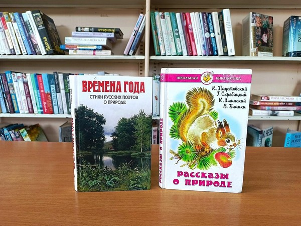Программа «Солнечное лето на страницах книг»