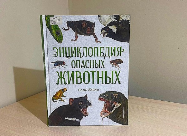 Беседа «Энциклопедия опасных животных»