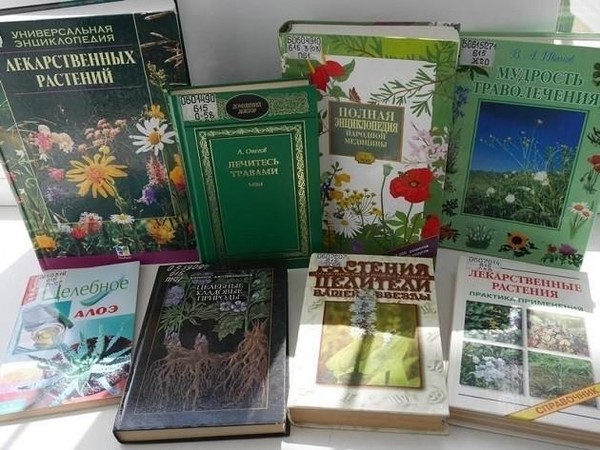 Беседа «Лекарственные травы – источник здоровья»