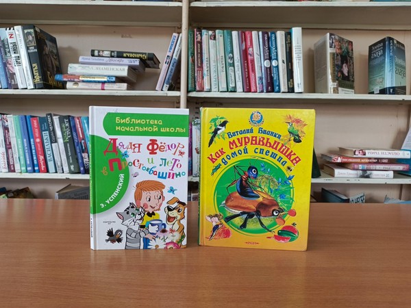 Программа «Лето книжных открытий»