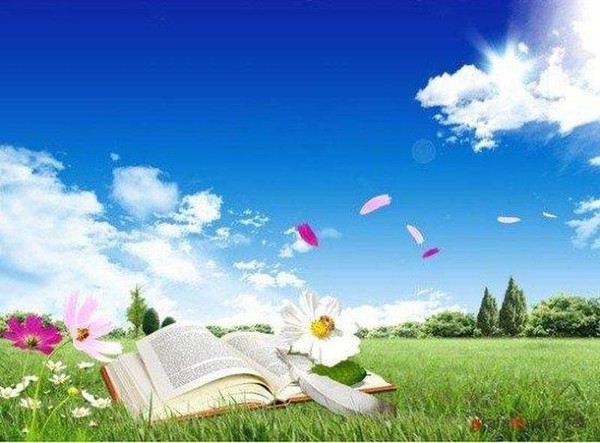 Литературная игра «Мы хотим, чтоб ваше лето было книгами согрето»