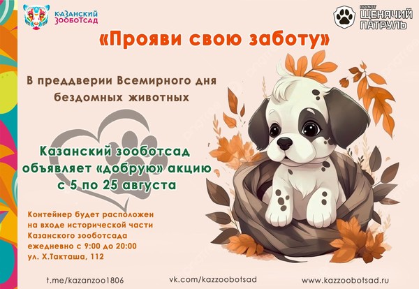 Акция «Прояви свою заботу»