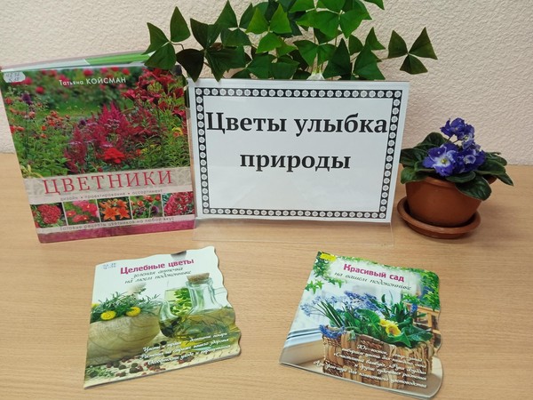 Викторина «Цветы улыбка природы»