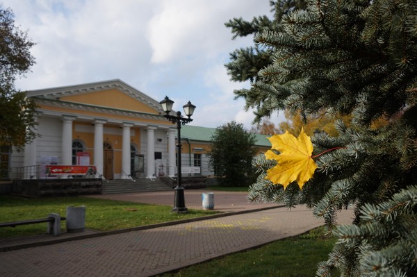 Пешеходная экскурсия «Деревья Ижевска: правда и мифы»