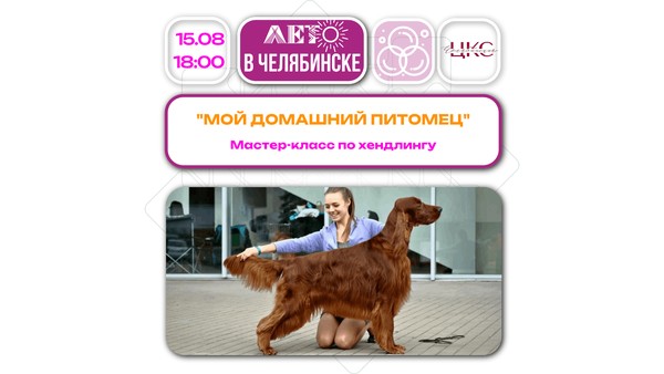 Мой домашний питомец