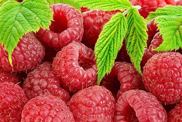 Час русской культуры «Антон Вихровей»