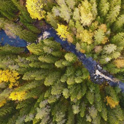 Тур на 1 день. День в сердце Карелии: Рускеала и царство водопадов