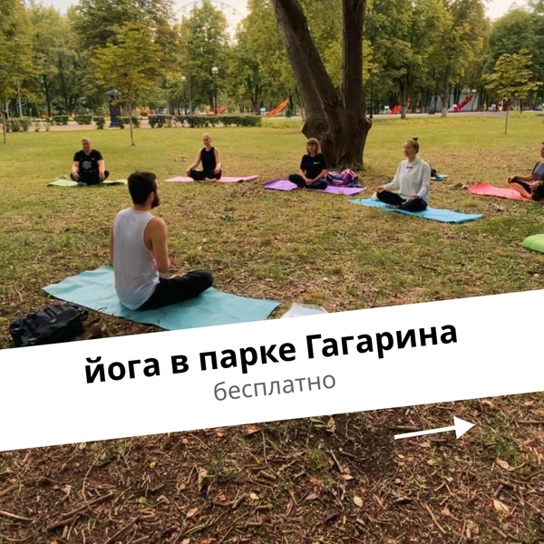 йога FYSM бесплатно в парке Гагарина