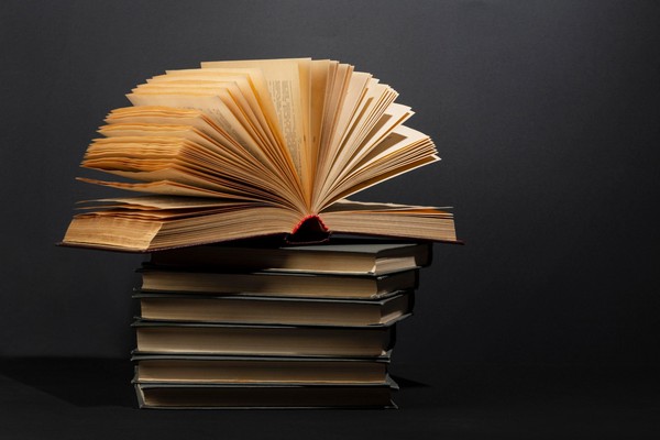 Программа «Я книгу как судьбу открою…»
