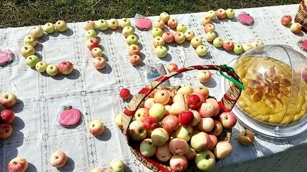 Интерактивная программа «Яблочкины именины»