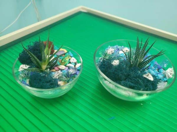 АРТ-каникулы в SandLand: создание мини-флорариума с песочной церемонией