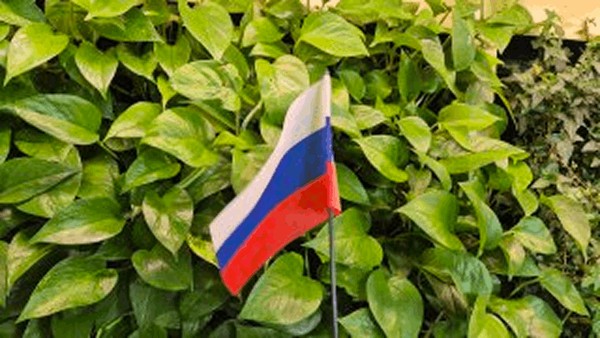 Вокально-музыкальное ассорти «Три цвета Родины»