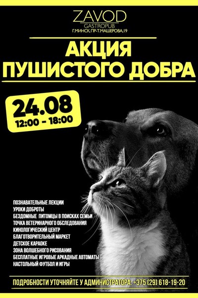 Акция пушистого добра
