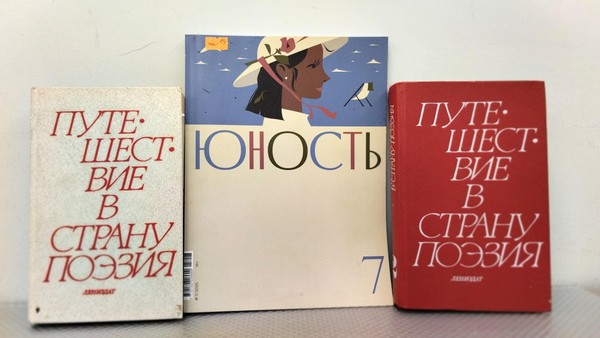 Встреча «Россию строить молодым»