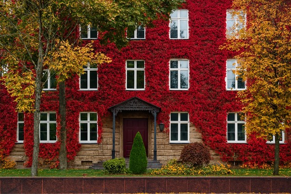 В Гродно на один день: путешествие из Минска