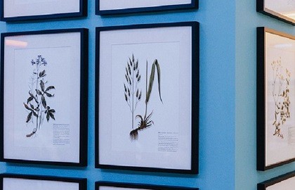 Эколого-просветительское занятие «Экологический бумеранг»