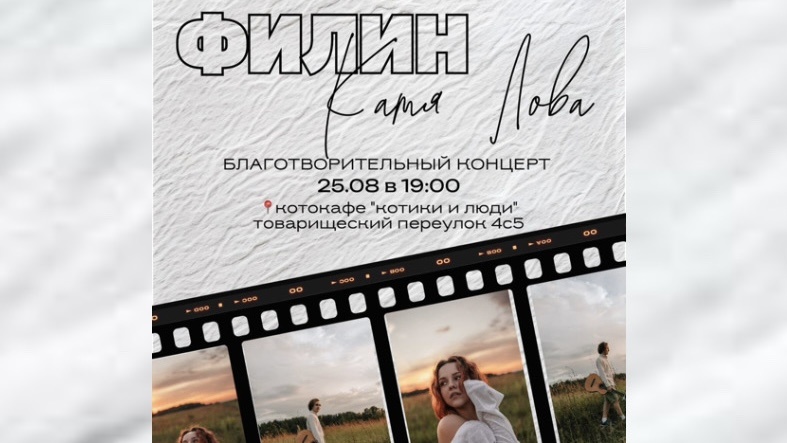 Катя Лова и Филин в котокафе