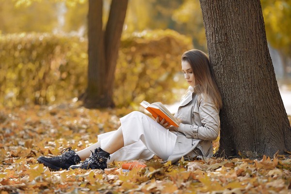 Пешеходная экскурсия «Живое искусство: человек и дерево»