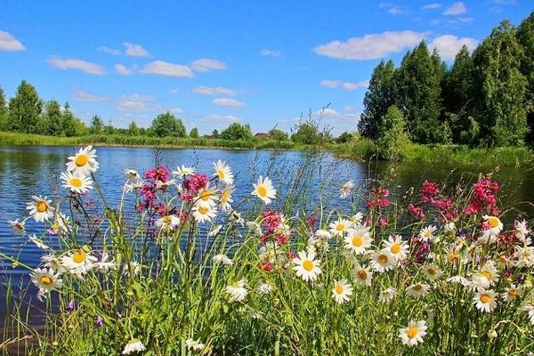 Викторина «Родной свой край люби и знай»