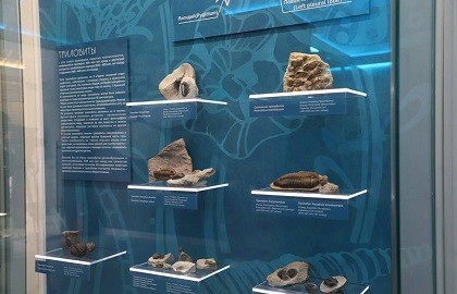 Выставка «Обитатели древних морей»