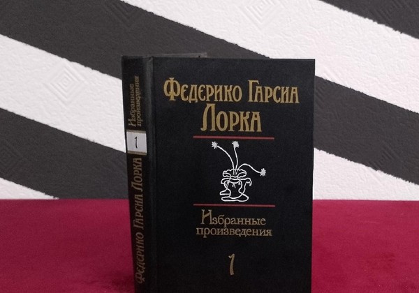 Литературный час-лекция «Я люблю человеческий голос»