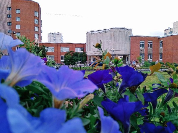 Уличная акция «Здравствуй, школа»