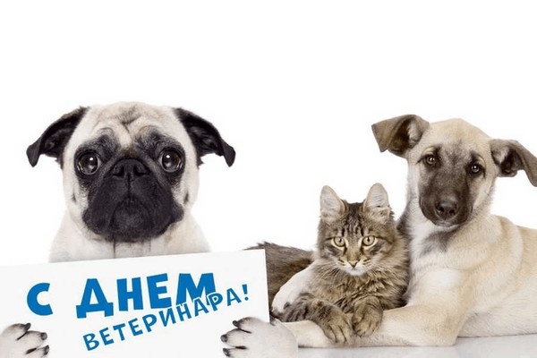 Поздравительный час «День ветеринарного работника России»