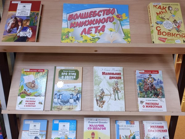 «Летние чтения – интересные приключения»