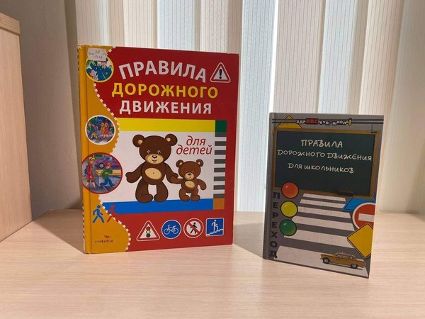 Программа «У светофора нет каникул»