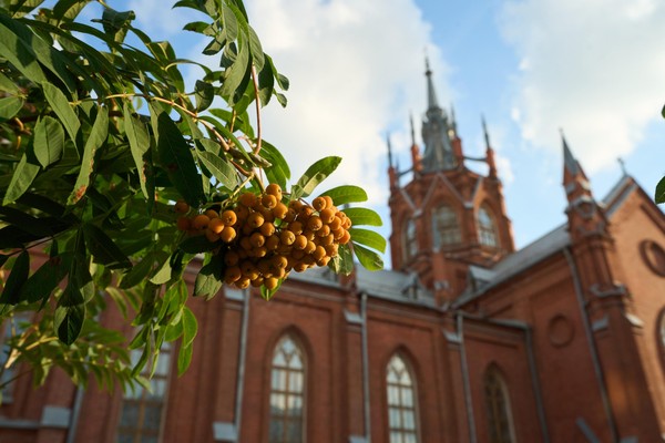 Концерт «Музыка французских соборов. Марина Вяйзя (орган)»