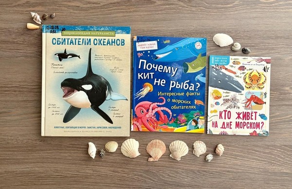 Интерактивно-познавательная программа «Планета Океан»